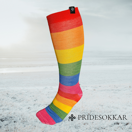 Reidsokkar Ridstrumpa Pride Merinoull Pridesokkar