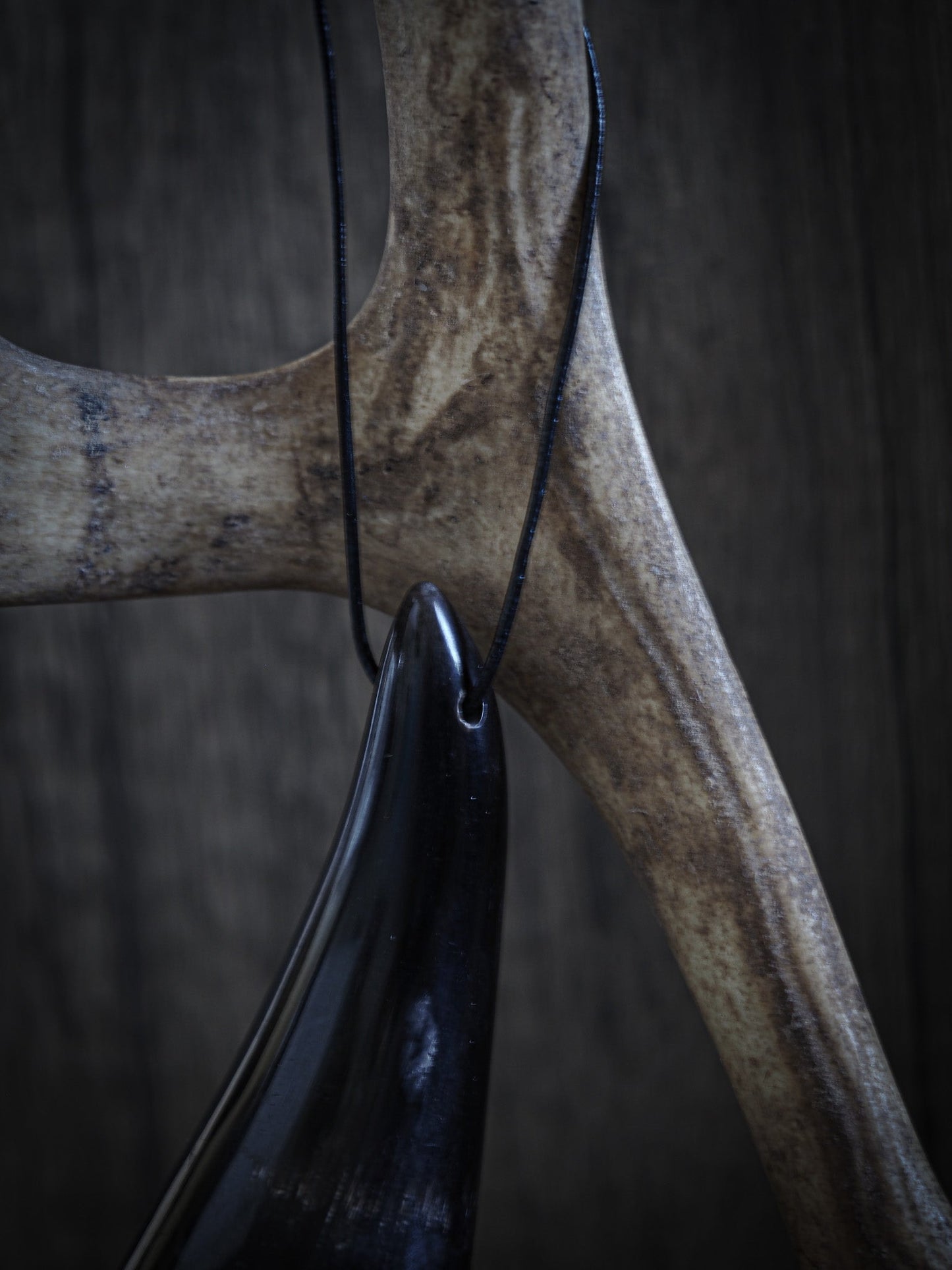 Litet horn med läderband