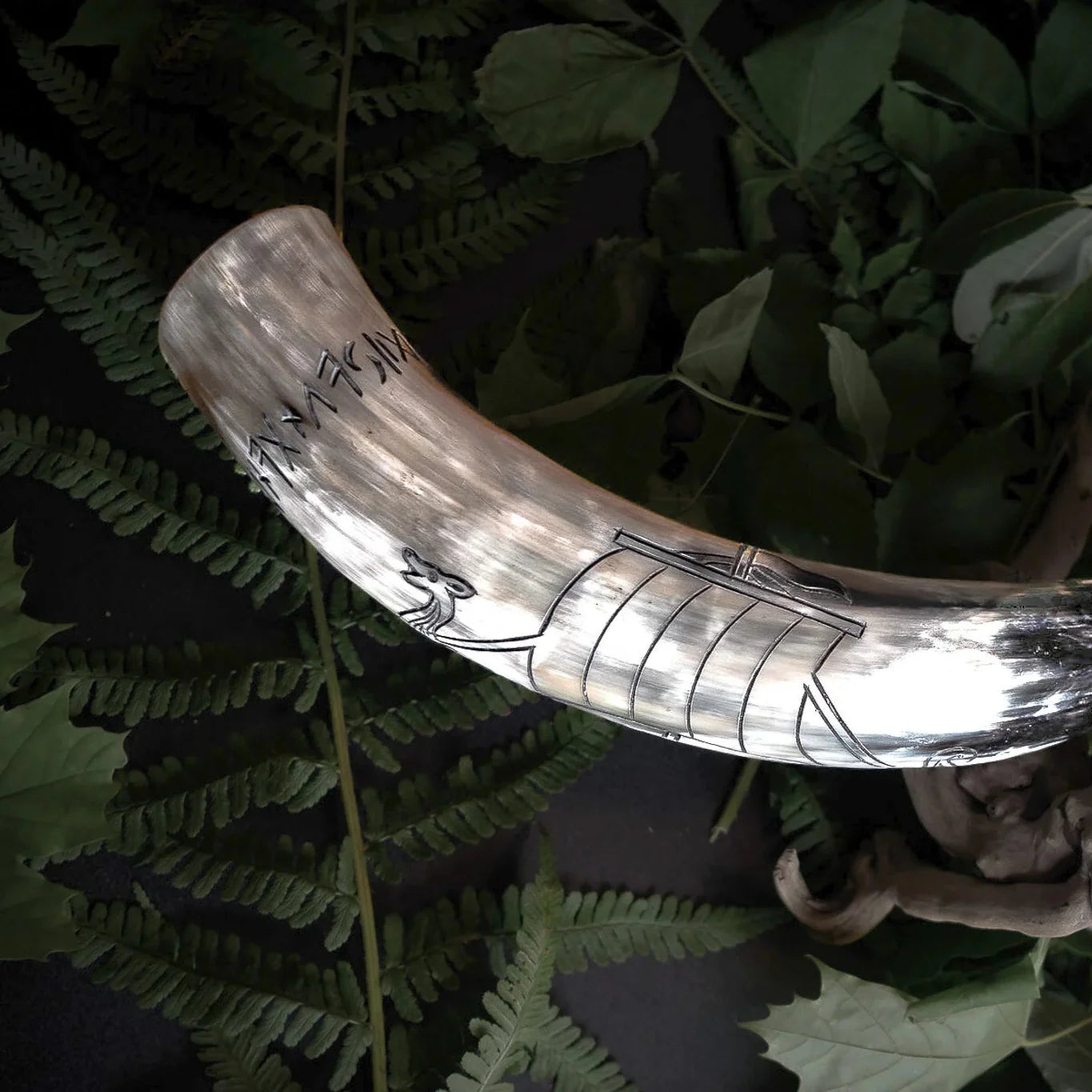 Graverat horn, Vikingaskepp