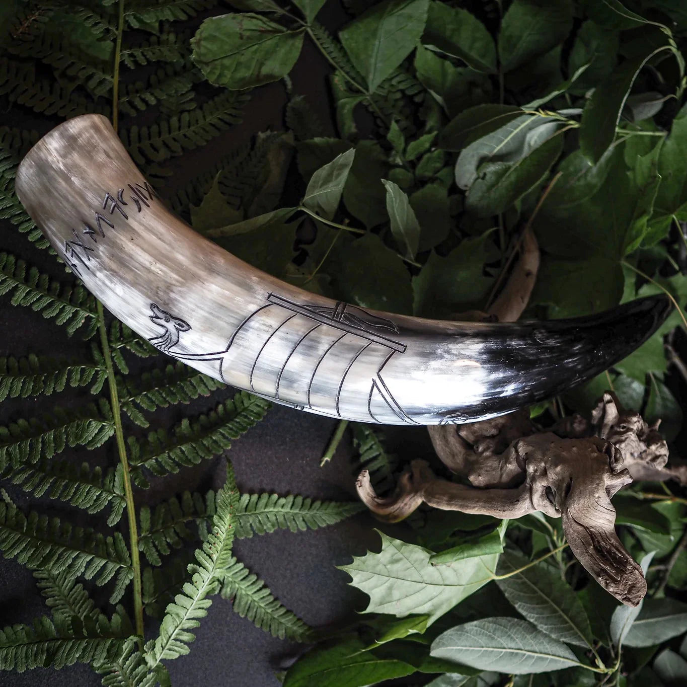 Graverat horn, Vikingaskepp